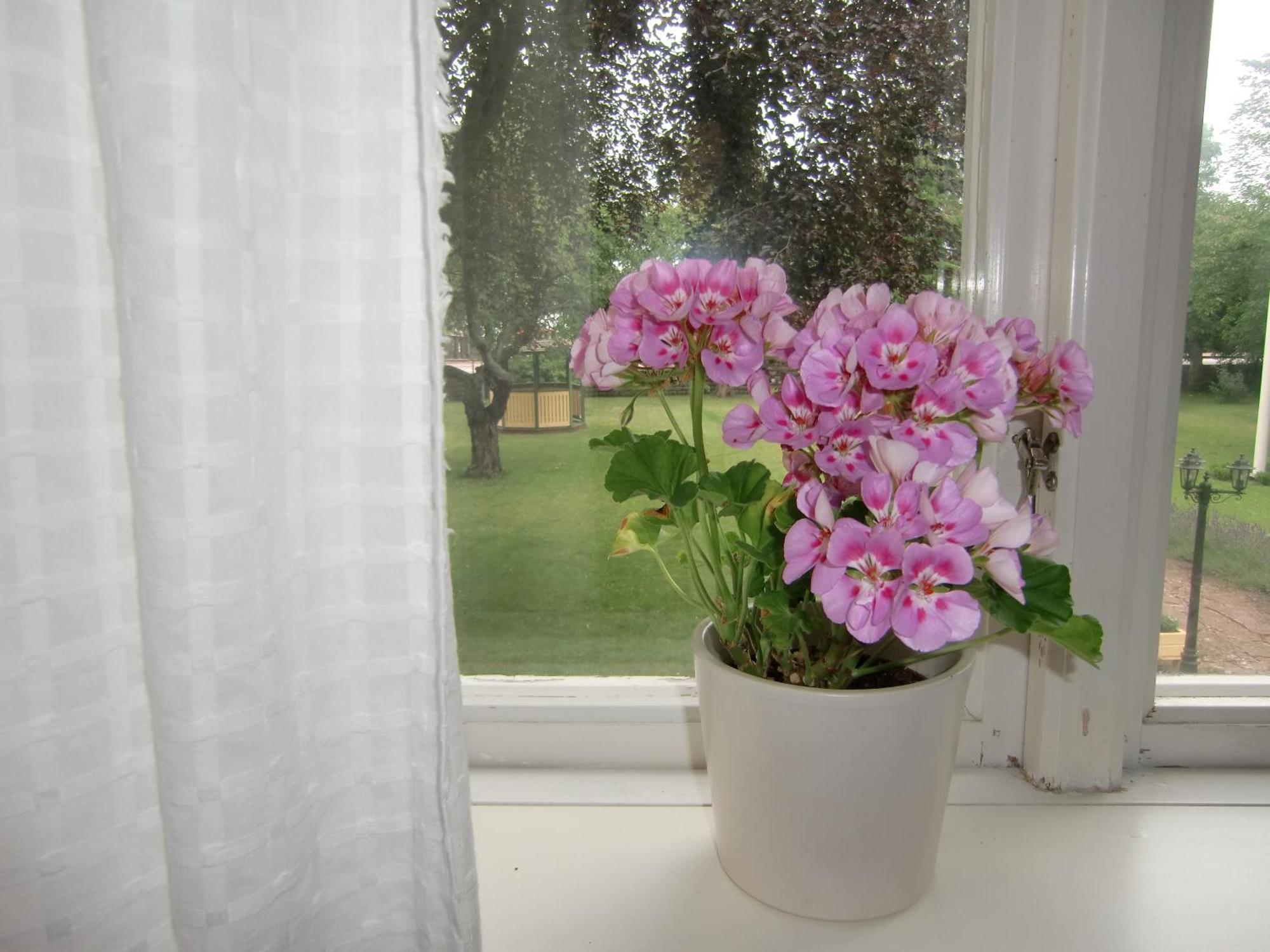 Hagaborg Bed & Breakfast Köpingsvik Exteriér fotografie